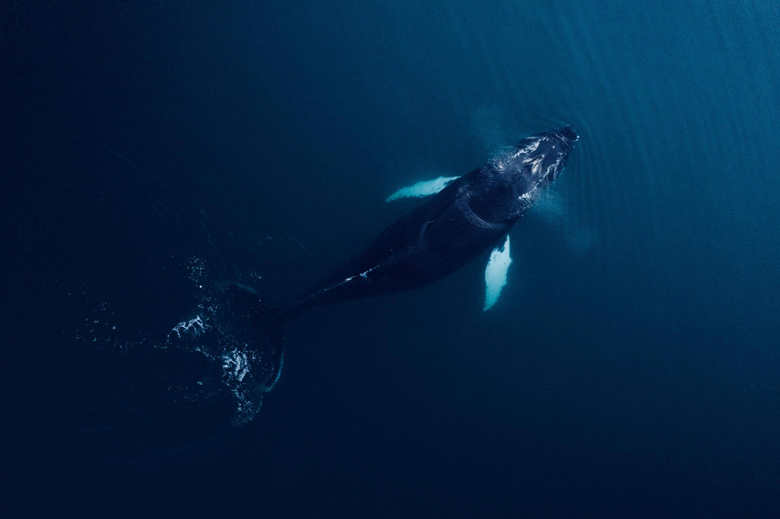 Greenland Photography